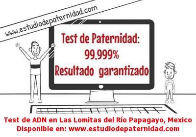 Test de ADN en Las Lomitas del Río Papagayo, México