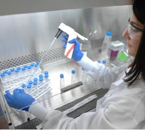  ¿Cómo funcionan las pruebas de ADN?