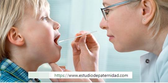 ¿Qué es una prueba de paternidad por ADN y cómo funciona?